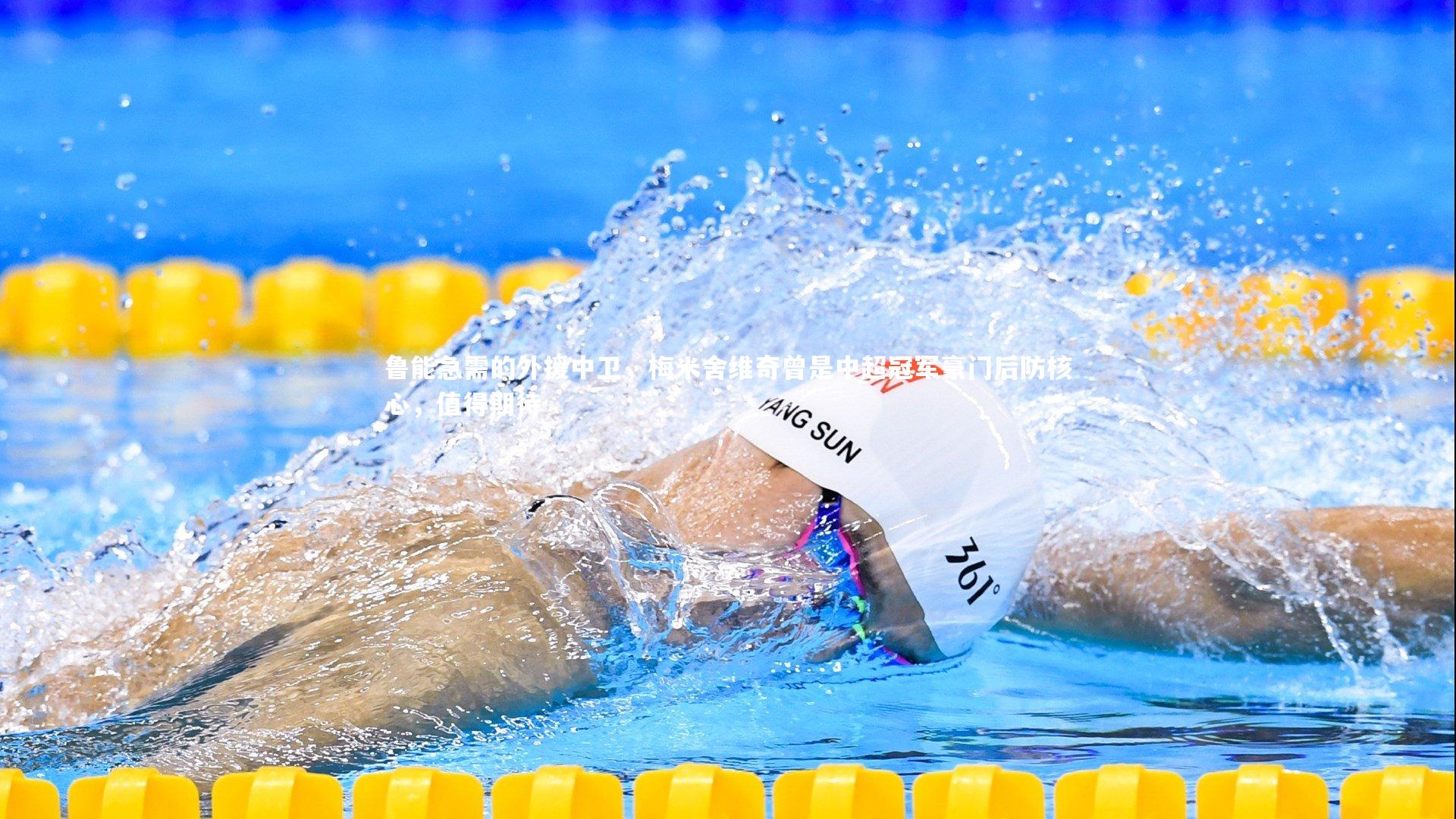 鲁能急需的外援中卫，梅米舍维奇曾是中超冠军豪门后防核心，值得期待