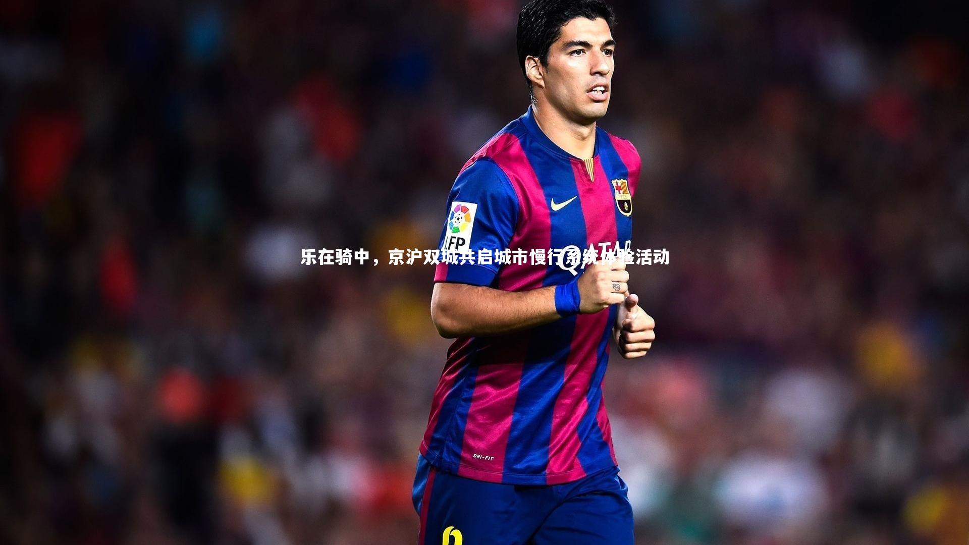 乐在骑中,京沪双城共启城市慢行系统体验活动